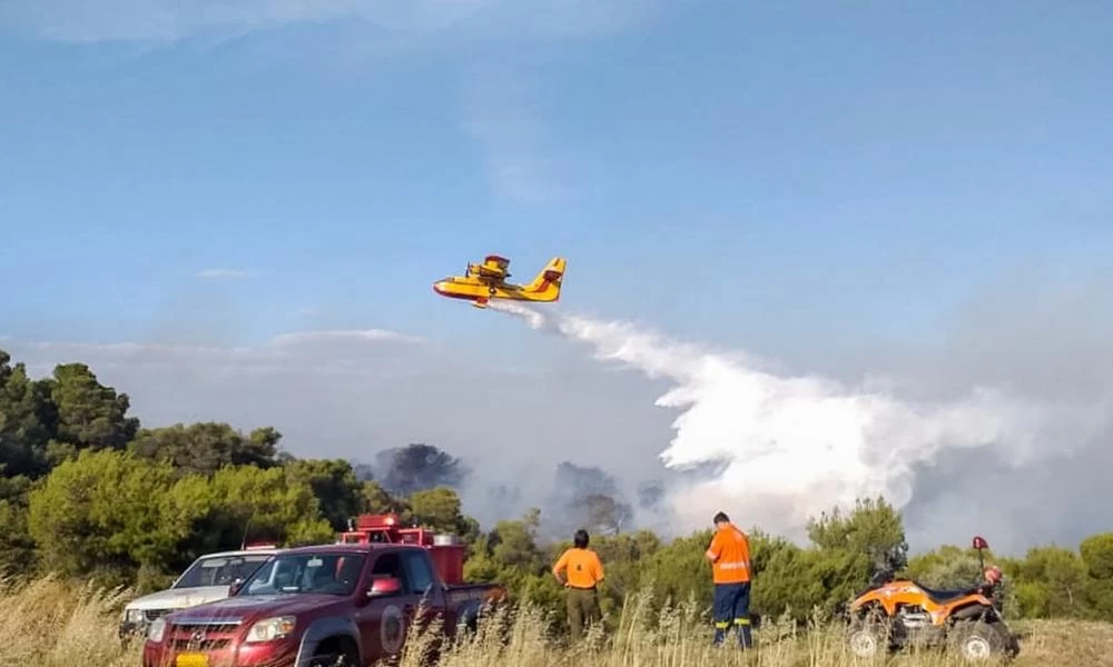 Σε πλήρη ύφεση οι πυρκαγιές σε Κορινθία και Φθιώτιδα